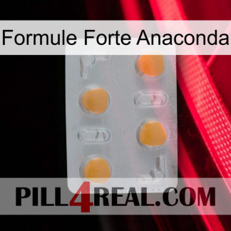Anaconda Strong Formula 24